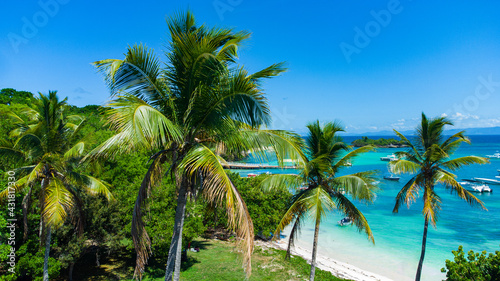 Hermosas palmeras en la isla de cayo levantado en la península de Samaná photo