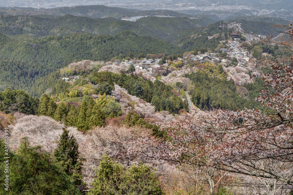 吉野山の金峯山寺