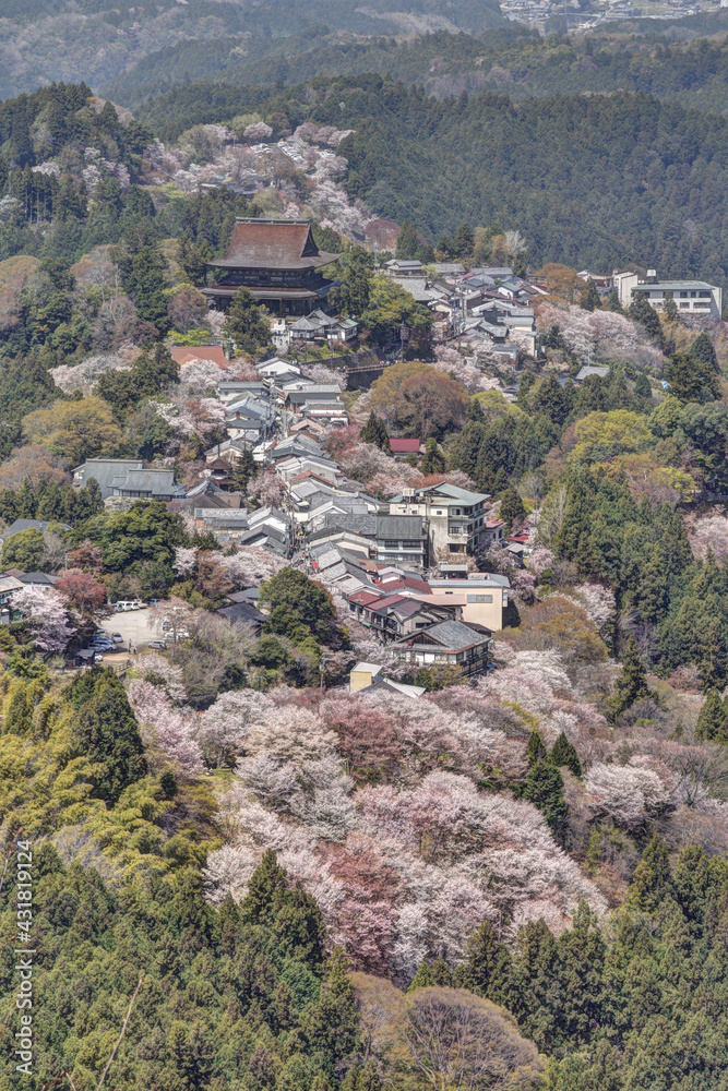 吉野山の金峯山寺