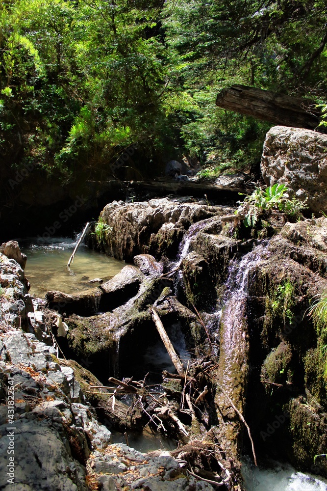 El caos en la naturaleza sigue siendo hermoso. Una represa natural fuerza al agua a encontrar su camino. El caos en la naturaleza sigue siendo hermoso. Una represa natural fuerza al agua a encontrar su camino.