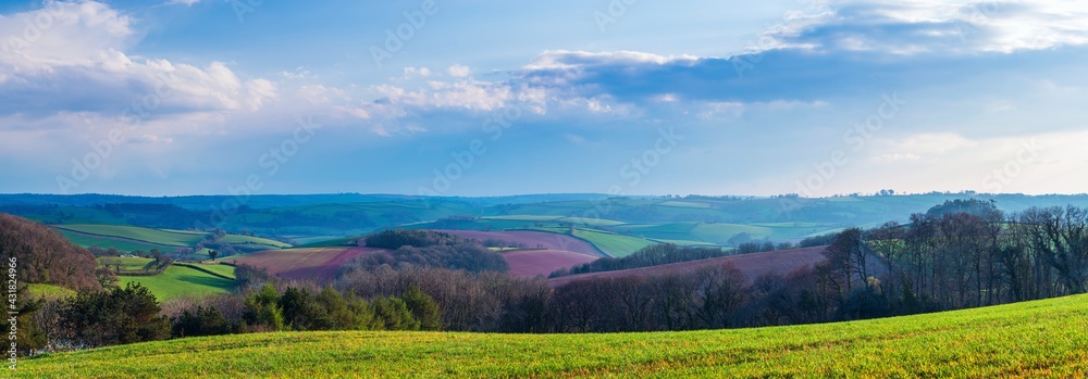 Fields and Meadows over English Village, Devon, England, Europe