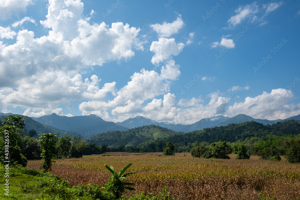 Naklejka premium Sky and clouds.