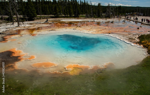 Hot Springs in Yellowstone National Park