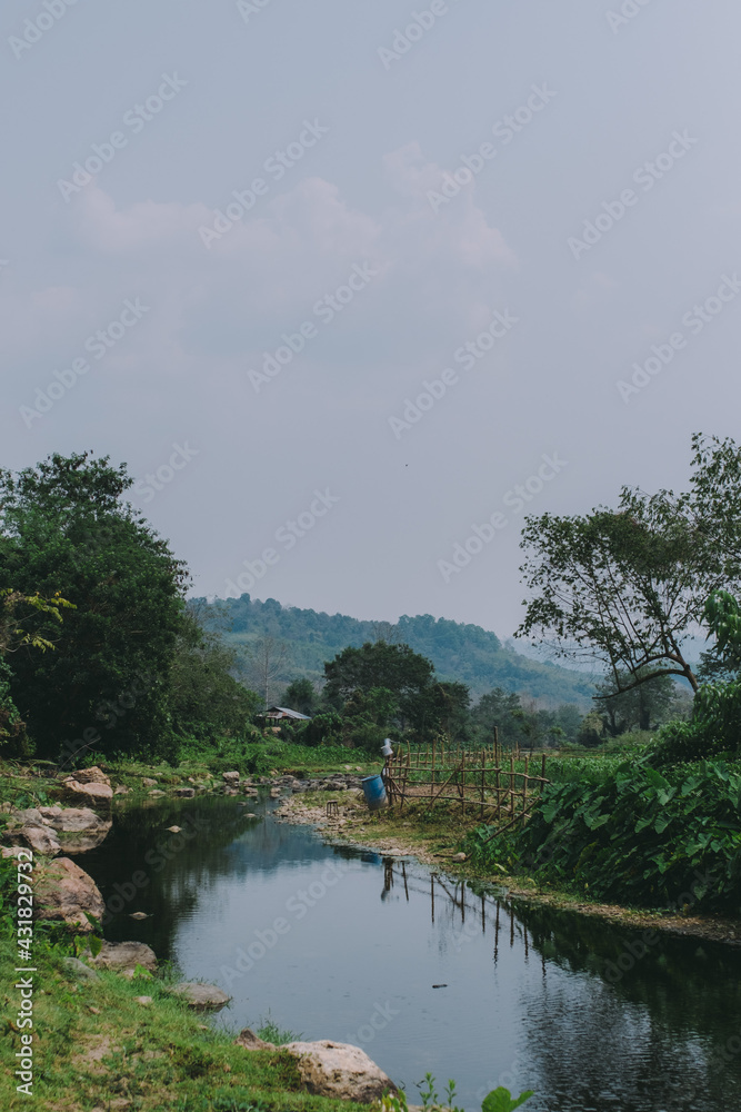 Fototapeta premium river.