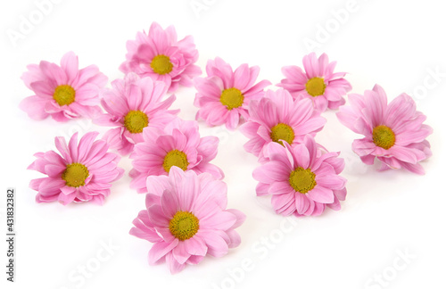 pink flowers on a white background © tigera