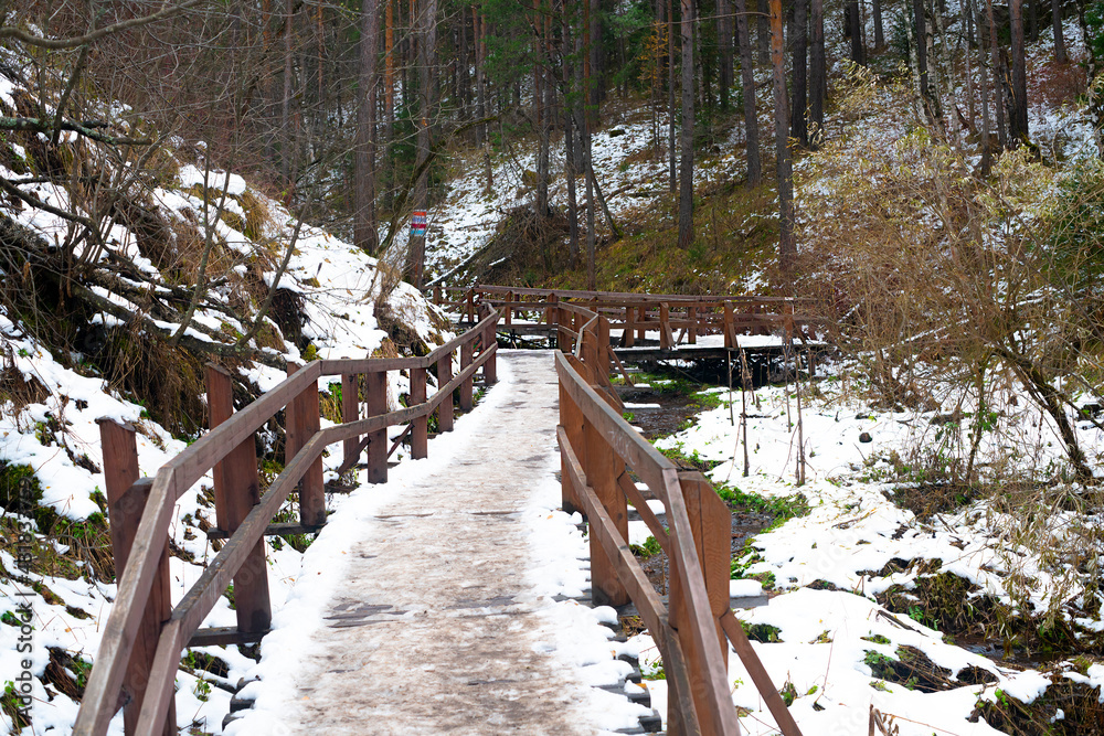 Fototapeta premium Village path in the national park in winter.