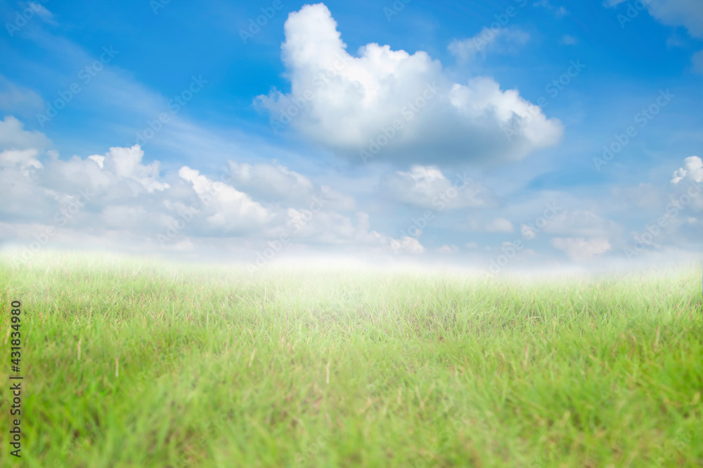 Green meadow with blue sky and white clouds and fog background Green meadow with blue sky and white clouds and fog background