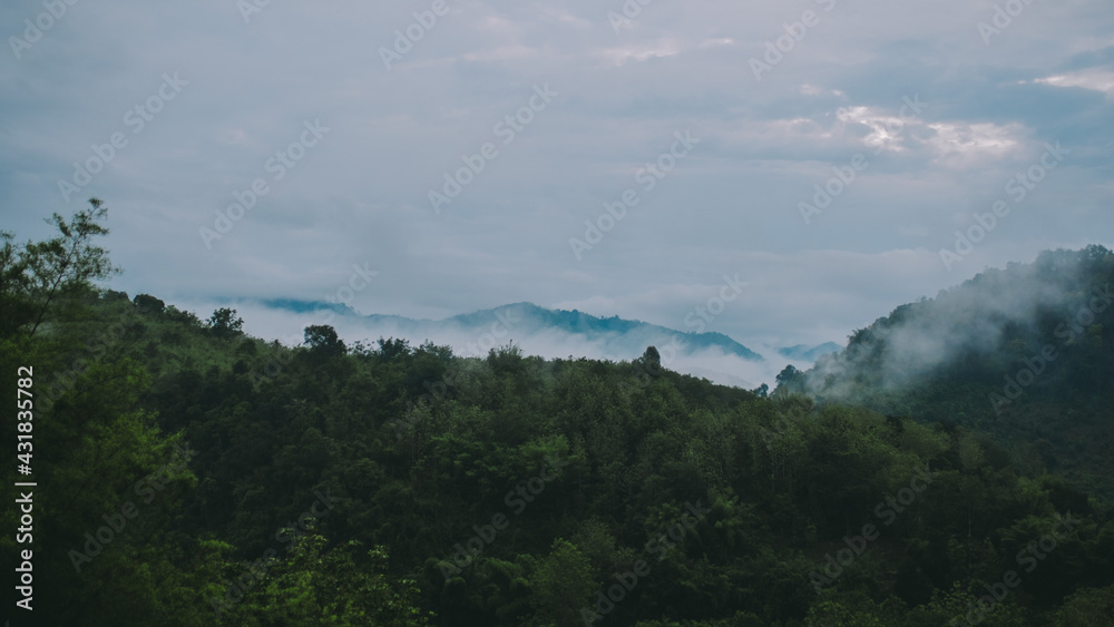 Mountains and fog.