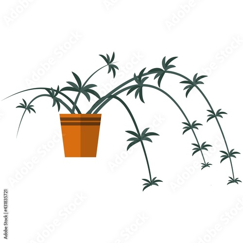 Flower plant in pot vector interior tree illustration