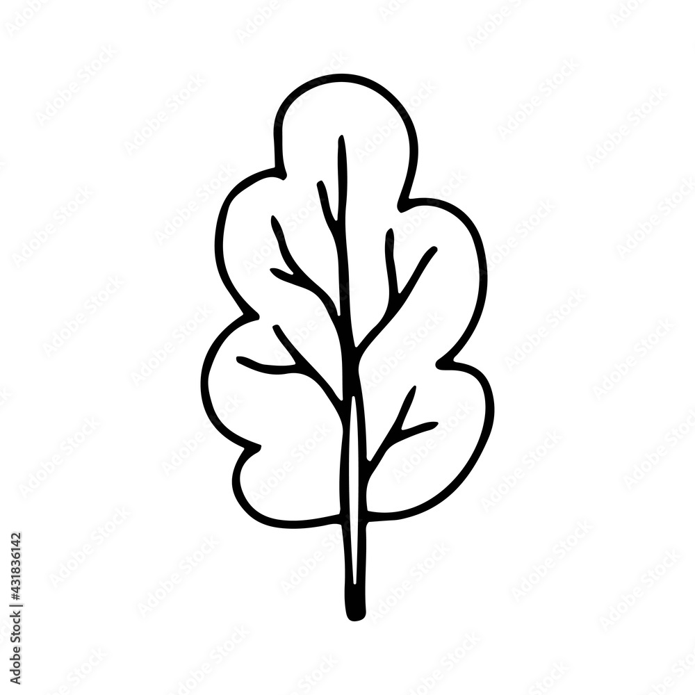 Stylized tree. Illustration of a tree hand-drawn in doodle style with an outline for print, web, mobile, isolated on a white background. Vector