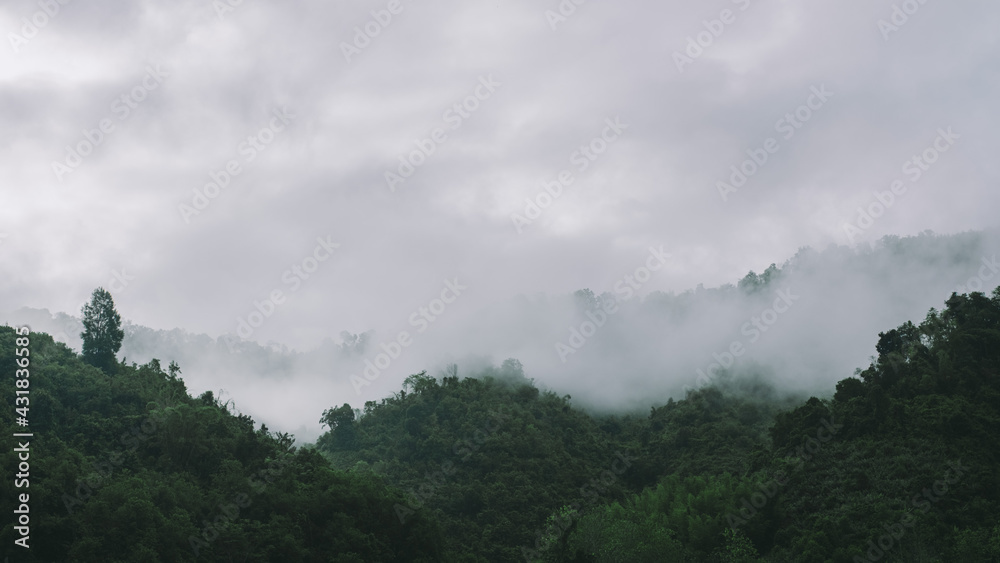 Mountains and fog.