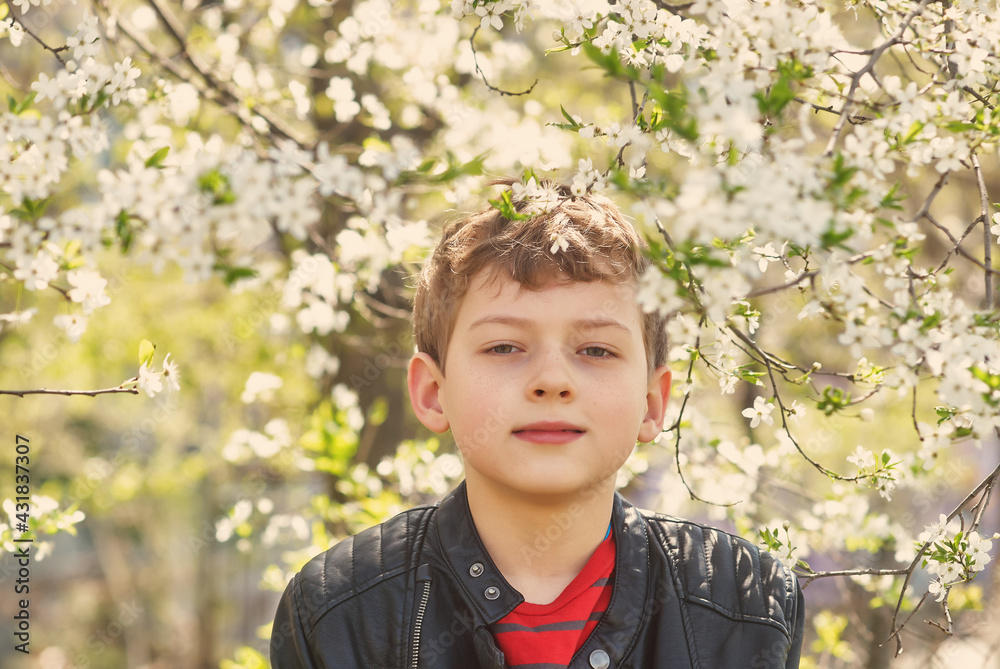 Portrait of a boy near flowering trees Portrait of a boy near flowering trees