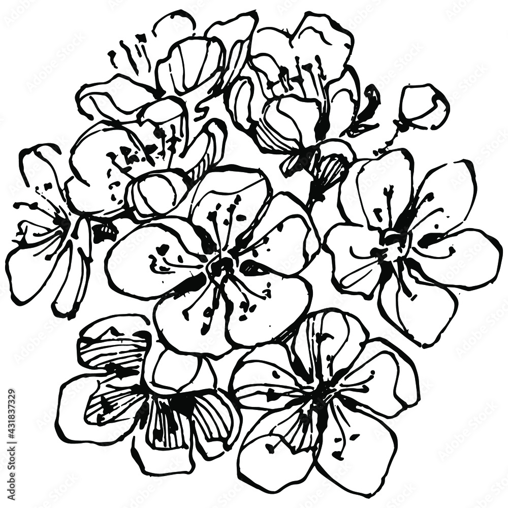 Cherry sketch drawing isolated. Black and white clip art isolated on ...