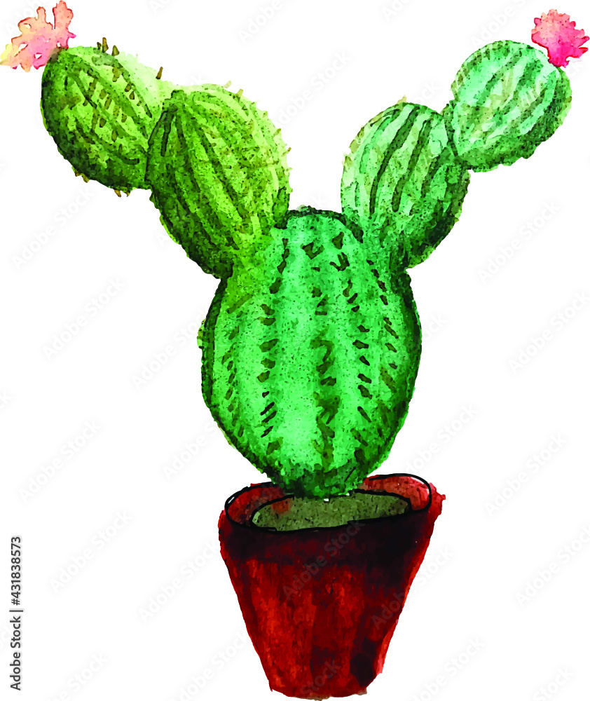 cacti illustration cacti illustration