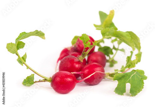 Radis bunch isolated on white background. Fresh radish root bundle, pile of red radishes with green leaves top view