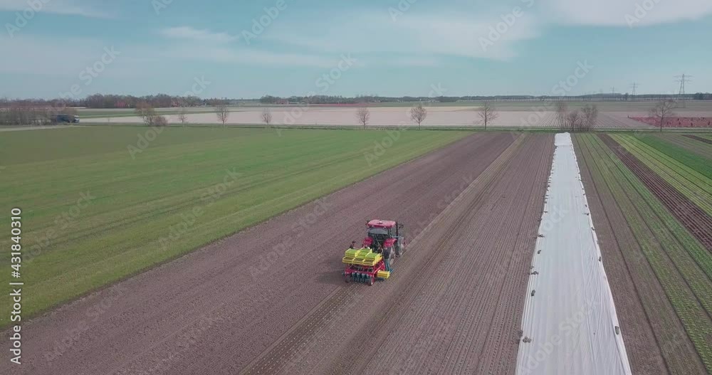 Drone shot of farm Workers planting lettuce with a planting machine. Biological farm growing vegetables and salad. Drone shot of farm Workers planting lettuce with a planting machine. Biological farm growing vegetables and salad.