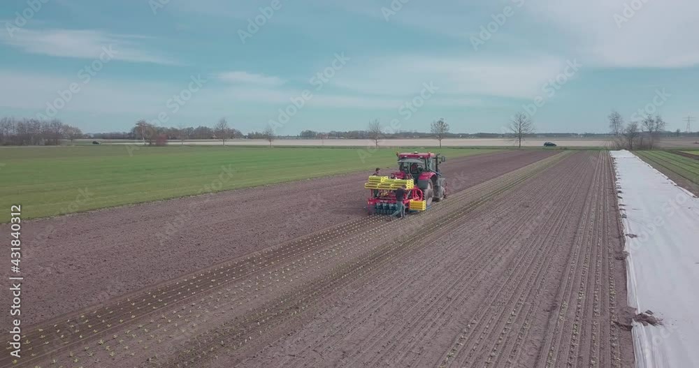 Drone shot of farm Workers planting lettuce with a planting machine. Biological farm growing vegetables and salad. Drone shot of farm Workers planting lettuce with a planting machine. Biological farm growing vegetables and salad.