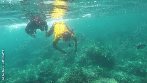 Wallpaper Mural A couple diving at Karimun Jawa Torontodigital.ca
