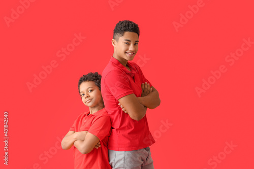 Portrait of African-American brothers on color background