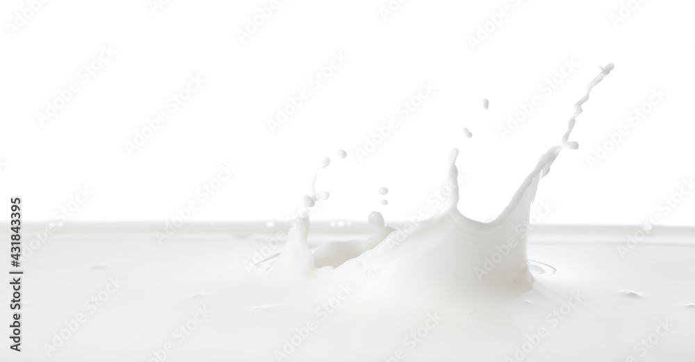 Splashes of tasty milk on white background