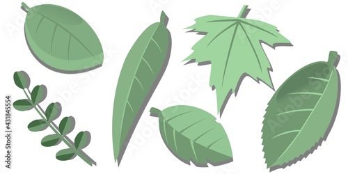 A set of green leaves of different shapes with a shadow on a transparent background