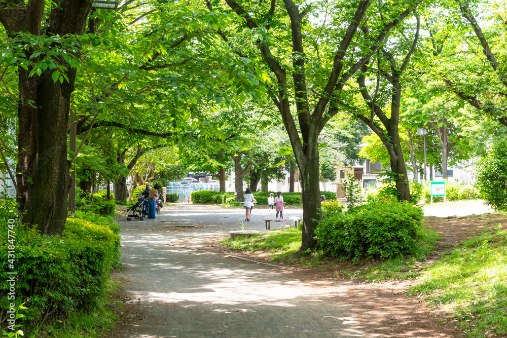 Obraz premium 公園