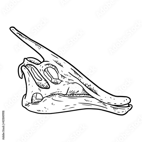 Parasaurolophus line hand drawn sketch image. Duck billed Hadrosaurids dinosaur illustration drawing