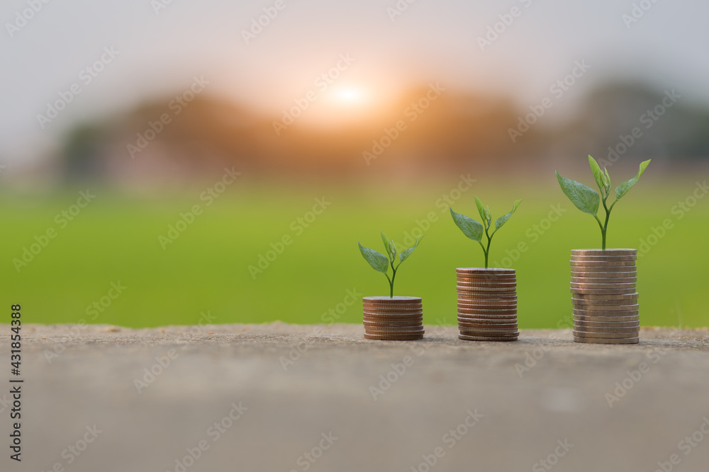 Saving money by hand puting coins in jug glass on nature background Saving money by hand puting coins in jug glass on nature background