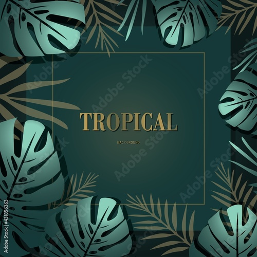 Vector tropical dark background with blue palm leaves casting shadow. Gold frame with a place for an inscription. Deciduous pattern for decoration, advertising, printing of paper products.