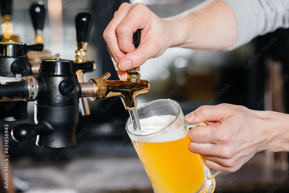 Close-up of the bartender filling a mug of light beer. The bar counter in the pub. Close-up of the bartender filling a mug of light beer. The bar counter in the pub.