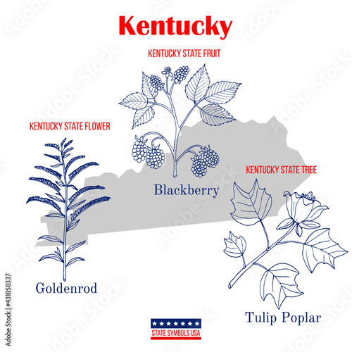 Kentucky. Set of USA official state symbols