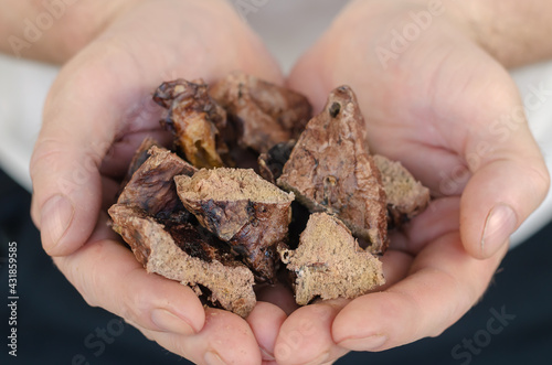 A close-up of popular dog treats in hand.