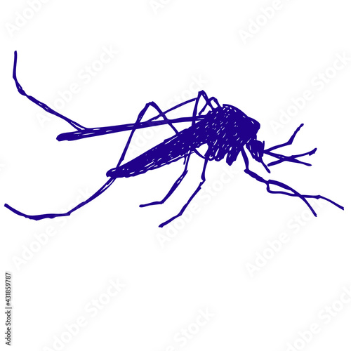 mosquito, doodle illustration and sketch