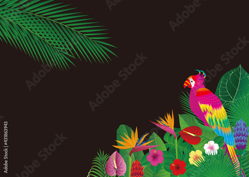熱帯の花と葉とオウムのような空想の鳥の背景。　ベクターイラスト