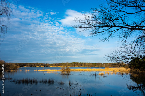 Lake in Germany, Spring