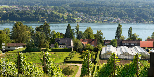 Reichenau, Insel, Bodensee (Deutschland) photo