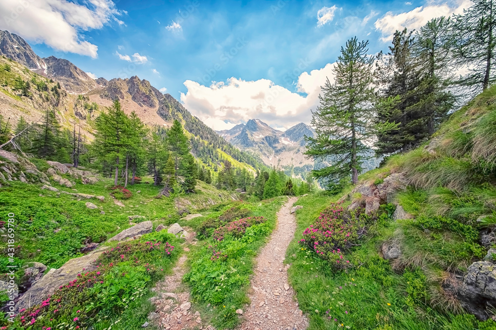 Obraz premium Mercantour National Park in France