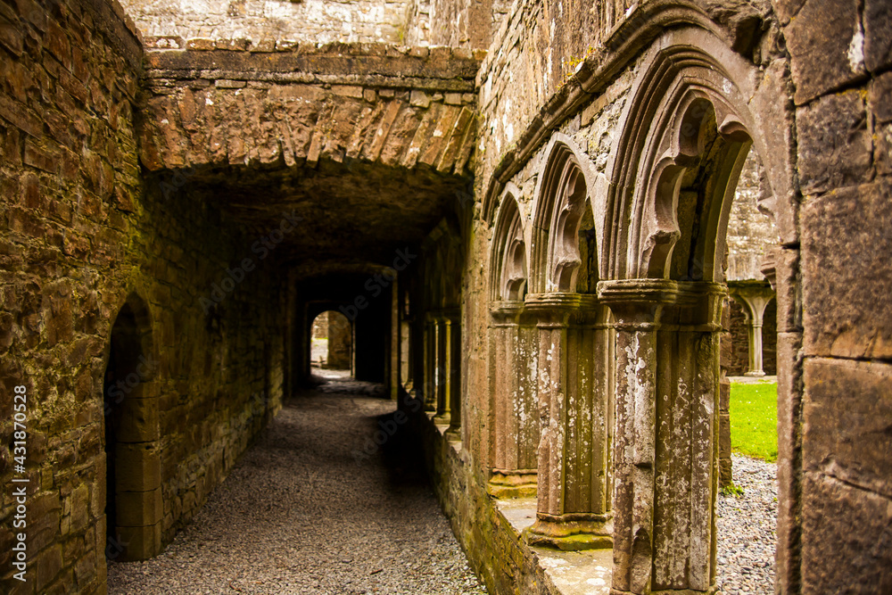 Spring in Bective Abbey (Mainistir Bheigti), Ireland