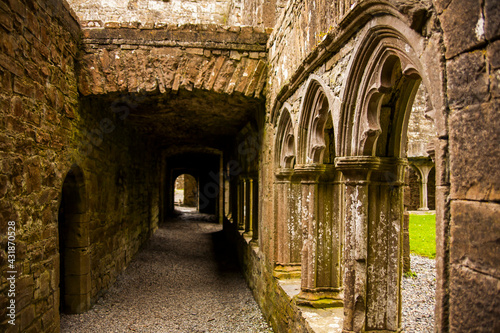 Spring in Bective Abbey (Mainistir Bheigti), Ireland © Alberto Gonzalez 