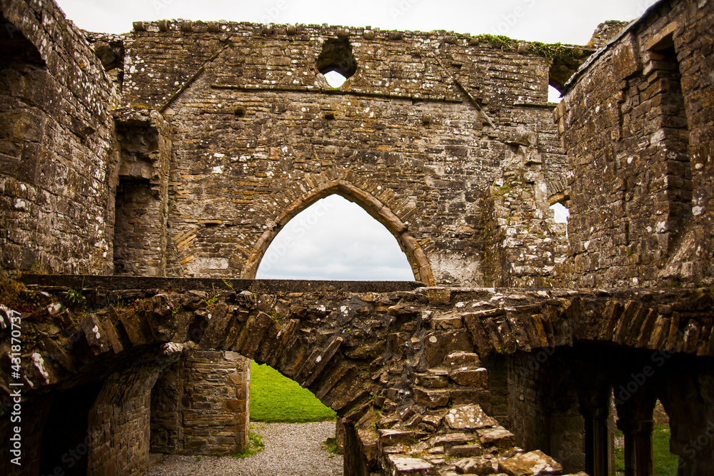 Naklejka premium Spring in Bective Abbey (Mainistir Bheigti), Ireland