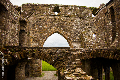 Fototapeta Naklejka Na Ścianę i Meble -  Spring in Bective Abbey (Mainistir Bheigti), Ireland
