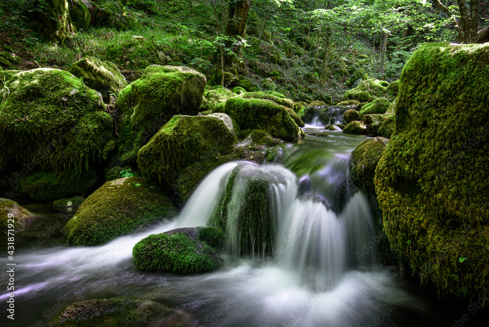 Water streaming along cascade down a Strandzha mountain forest river landscape in Mladezhko, Burgas, Bulgaria. Forest stream running water. River with spring green trees background. Beautiful nature