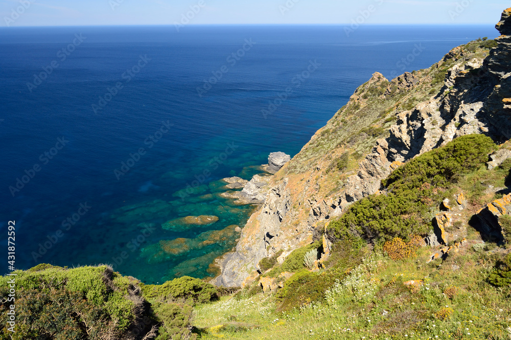 Panorama della costa della Nurra da Capo Negru