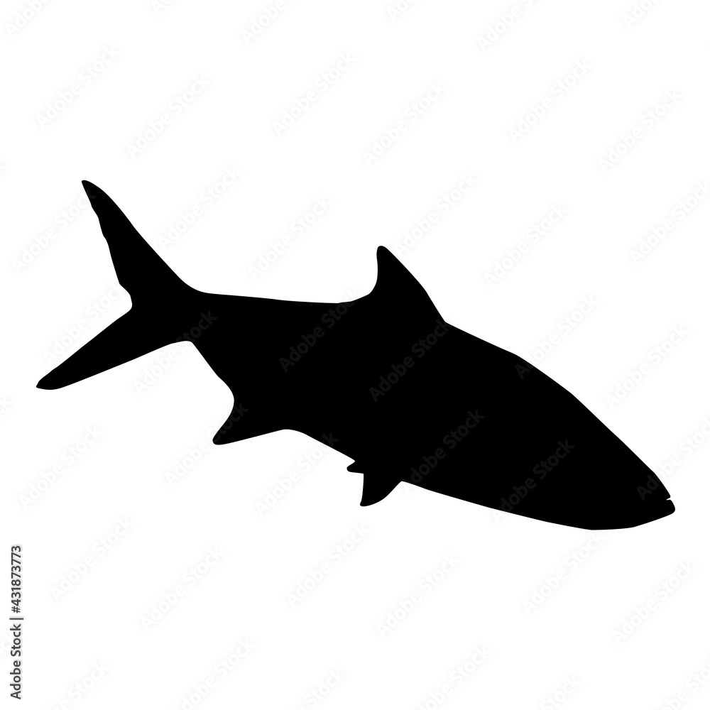 Saltwater fish sardine isolated black silhouette. Marine animal. White background. Vector illustration clipart. Saltwater fish sardine isolated black silhouette. Marine animal. White background. Vector illustration clipart.