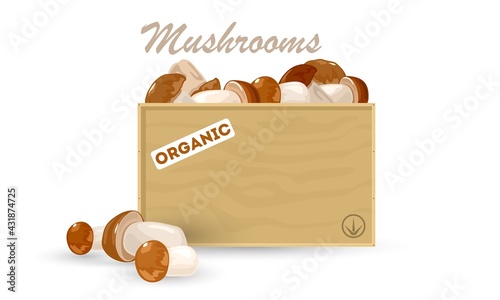 Cartoon of raw porcini mushrooms, product for further cooking, container with organic vegetable. Vector vegetarian ingredient, clean healthy eating. Idea of veggie harvest, vegan isolated on white
