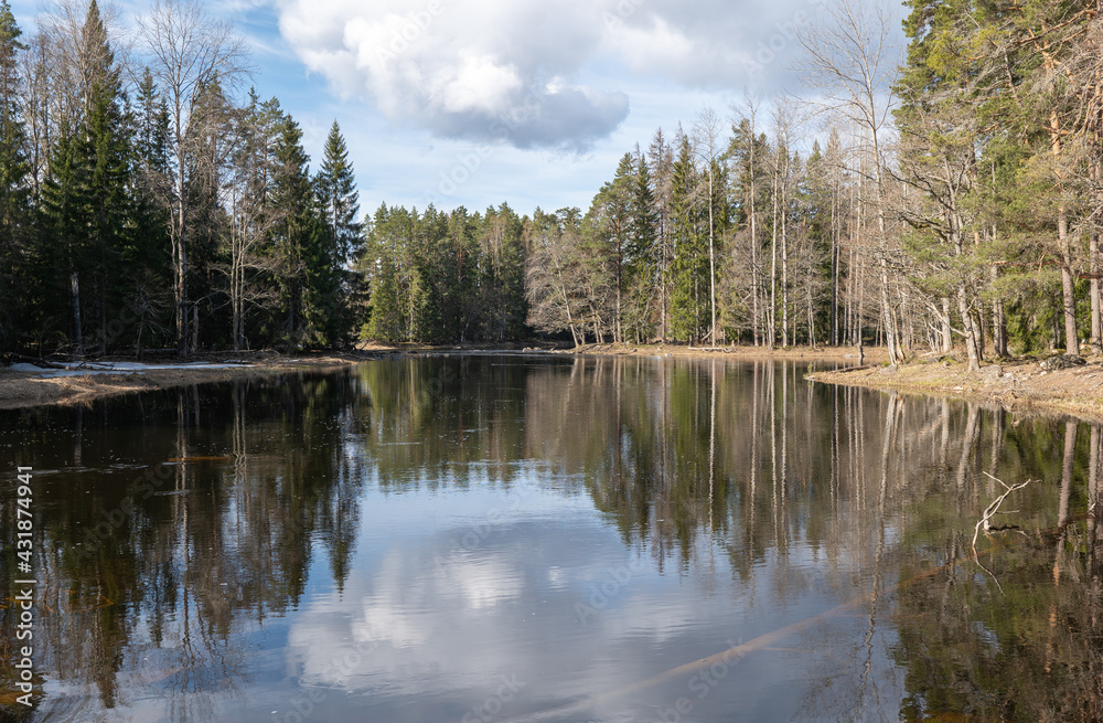 Calm lake reflection in Farnebofjarden national park in north of Sweden.