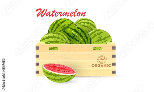 Cartoon of wooden box with summer fruit, slice of watermelon near container. Vector crop transportation, food market delivery. Concept of vegan nutrition, summer harvest isolated on white