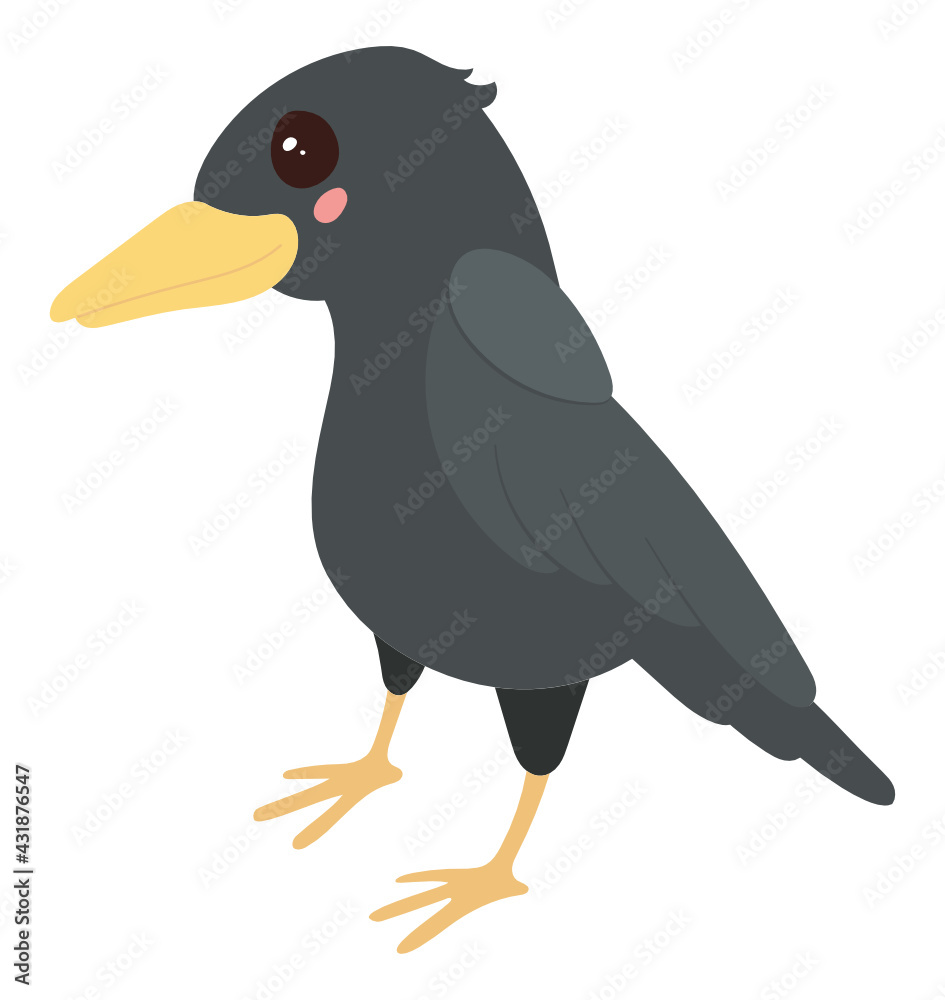 Fototapeta premium Raven