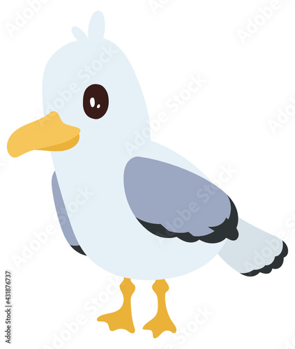 Seagull