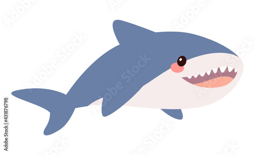 Shark